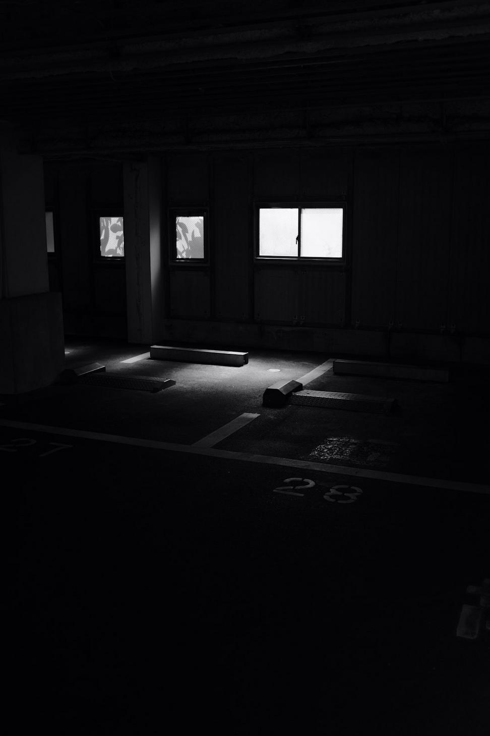 Jade Venom Forge Training Space